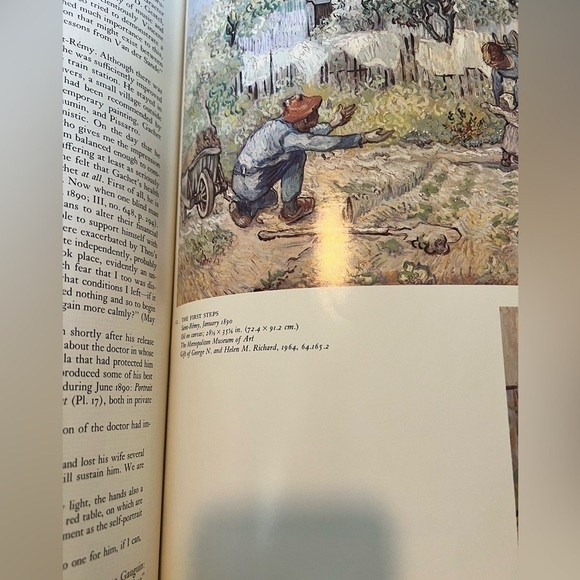 Vincent Van Gogh (Medaenas Monographs on the Arts) - Picture 8 of 8